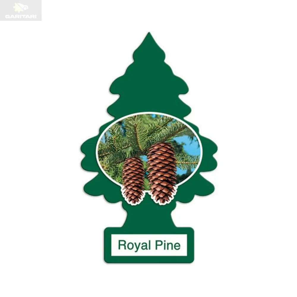 Little Trees Royal Pine - GariTari গাড়িটারি