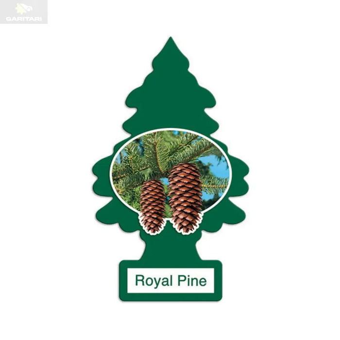 Little Trees Royal Pine - GariTari গাড়িটারি