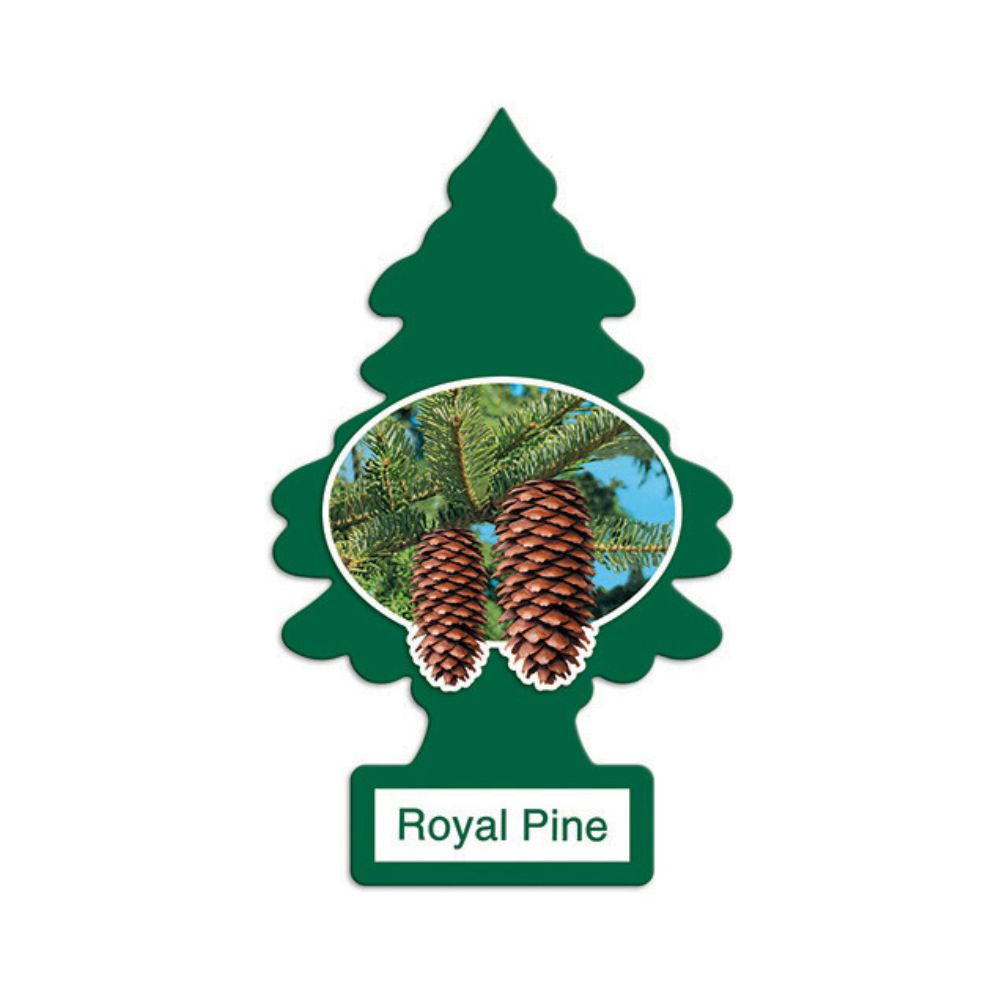 Little Trees Royal Pine