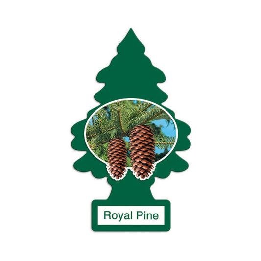 Little Trees Royal Pine